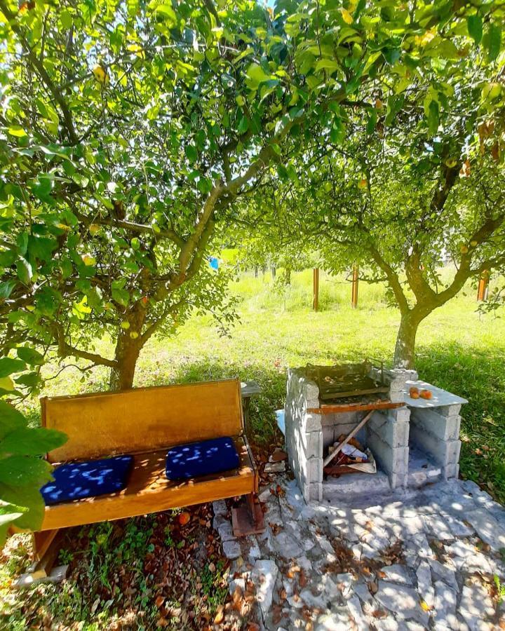 Apartman Cherry Gradac ואליג'בו מראה חיצוני תמונה