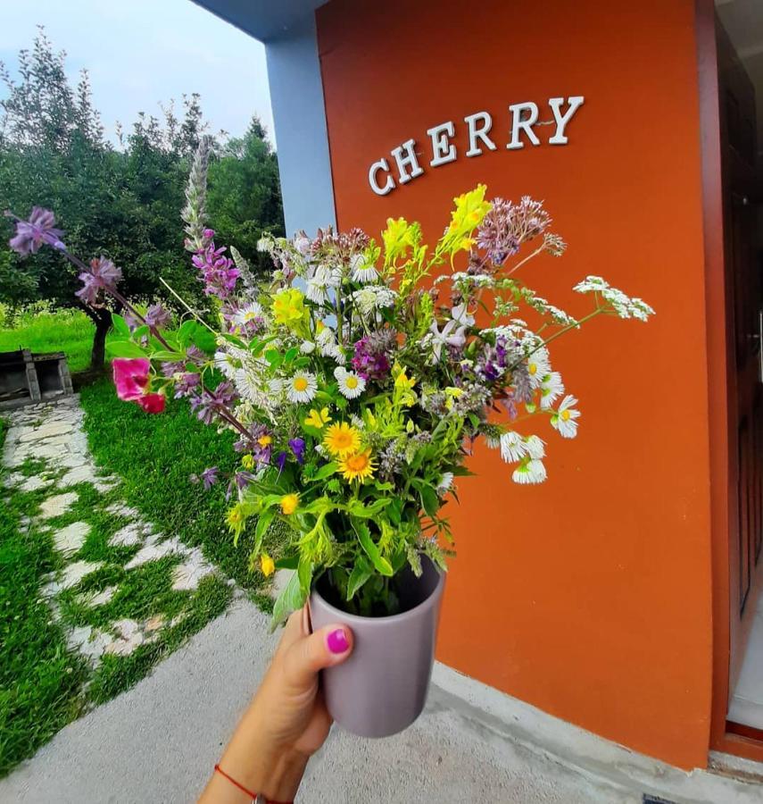 Apartman Cherry Gradac ואליג'בו מראה חיצוני תמונה